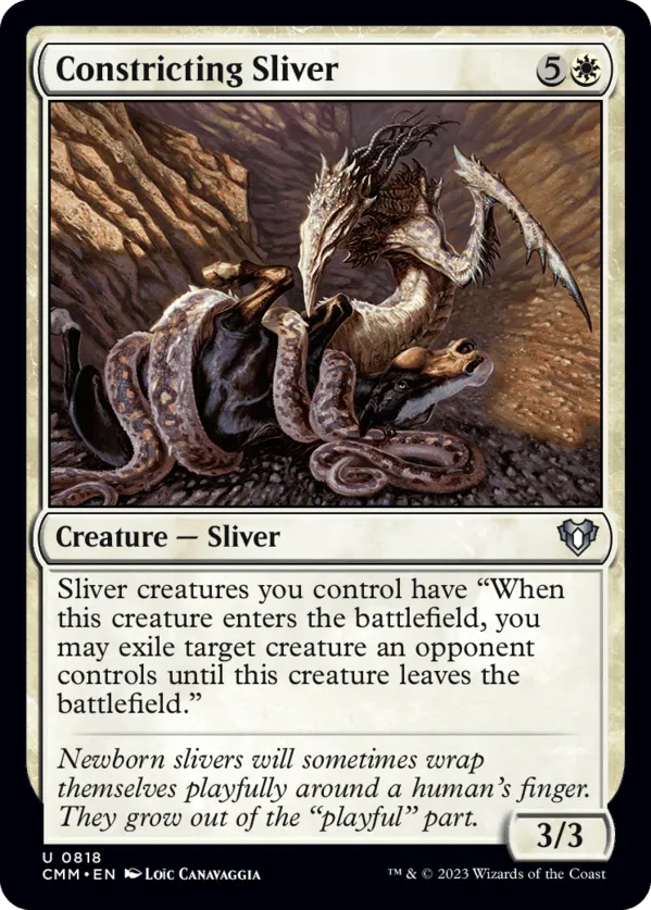 Constricting Sliver