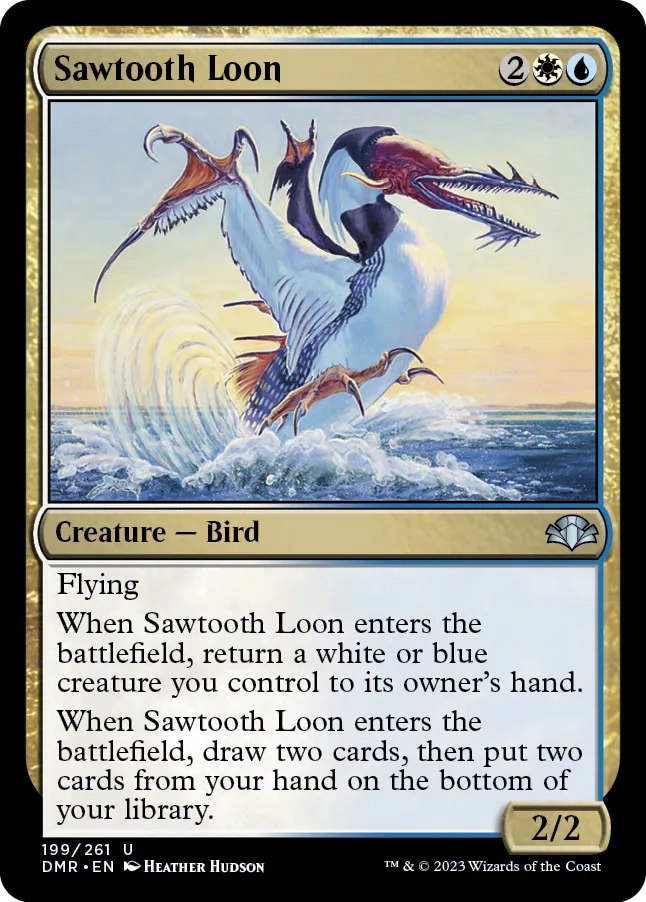 Sawtooth Loon