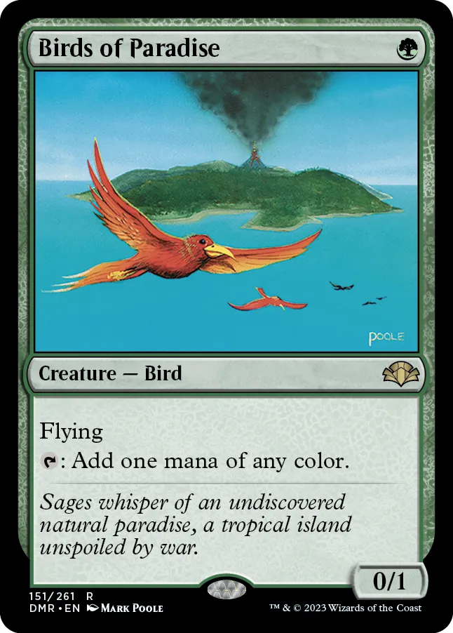 Birds of Paradise