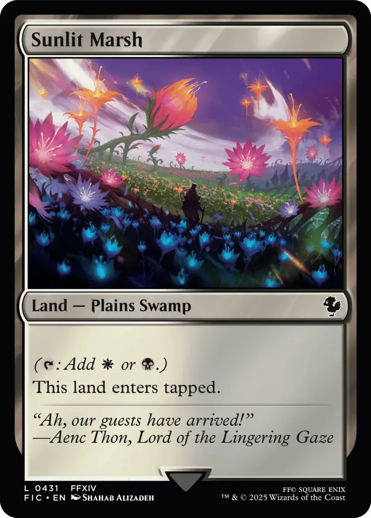 Sunlit Marsh