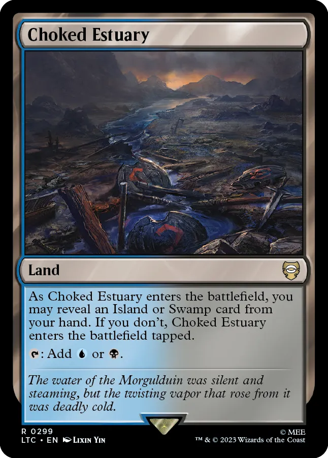 Choked Estuary