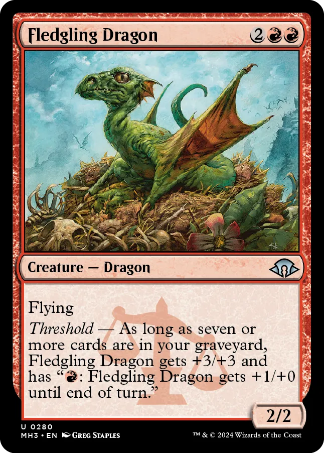 Fledgling Dragon