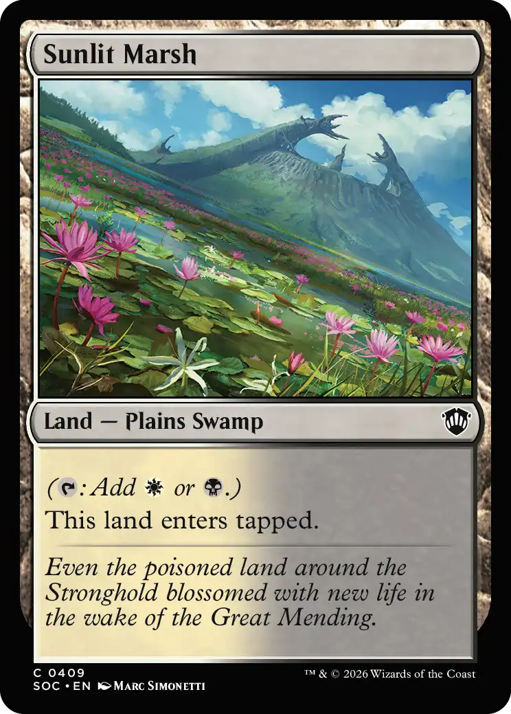 Sunlit Marsh
