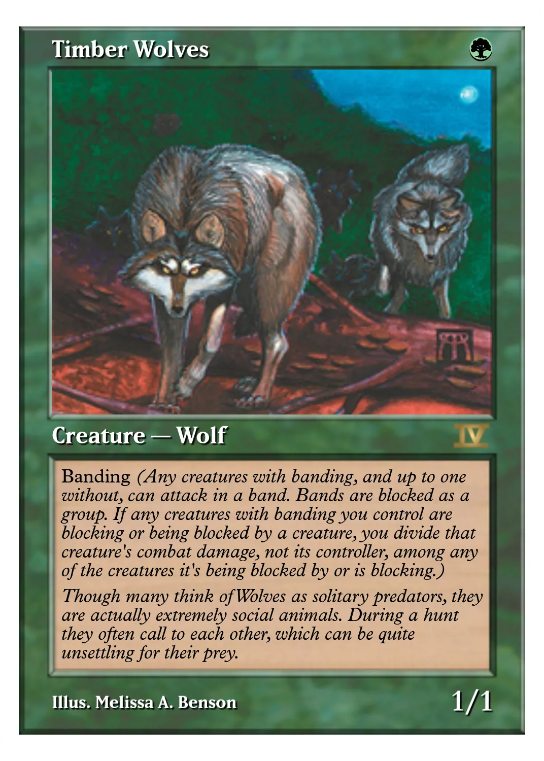 Timber Wolves