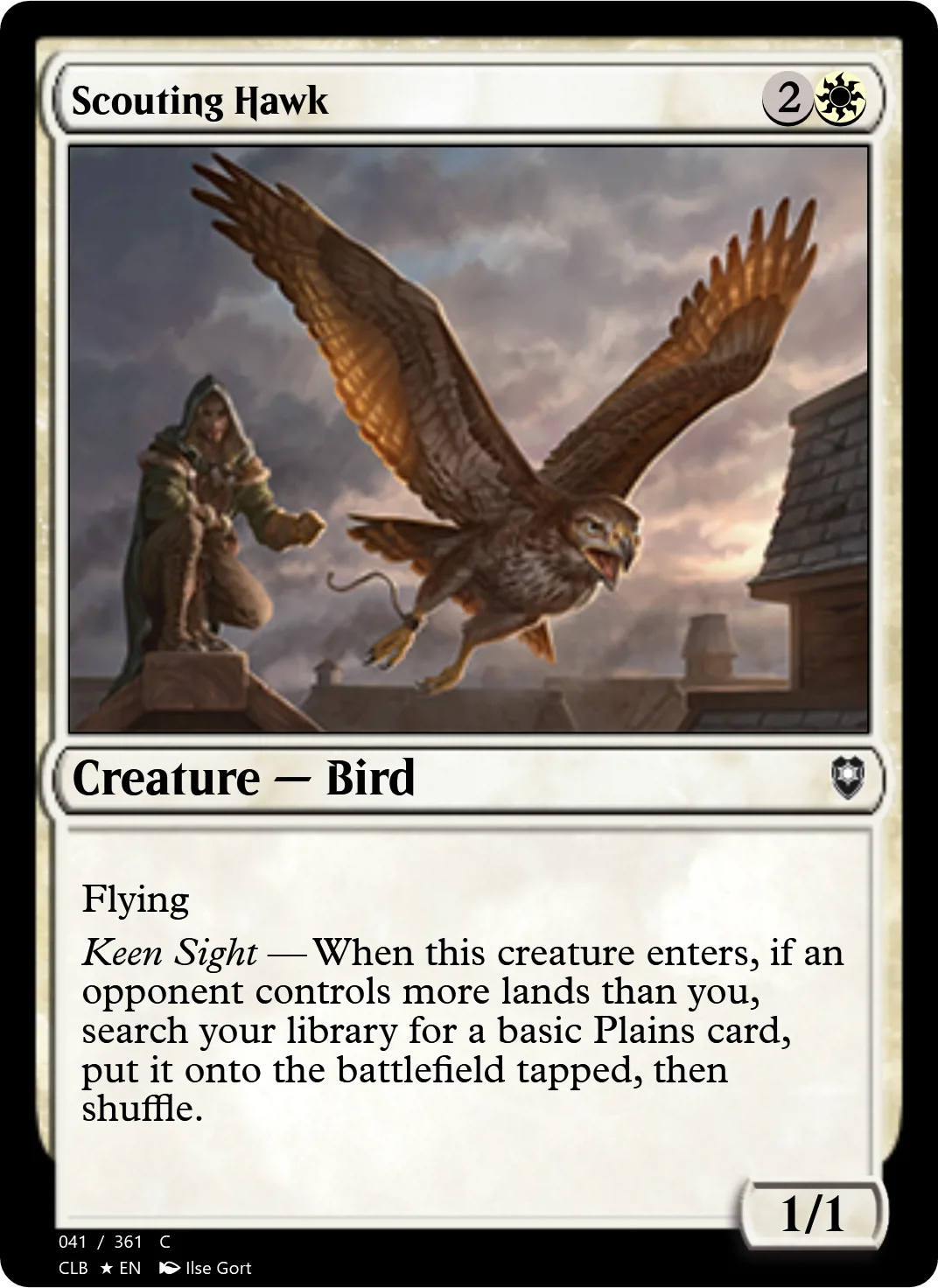 Scouting Hawk