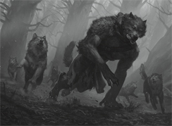 Untamed Pup