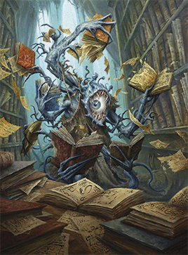 Voracious Reader