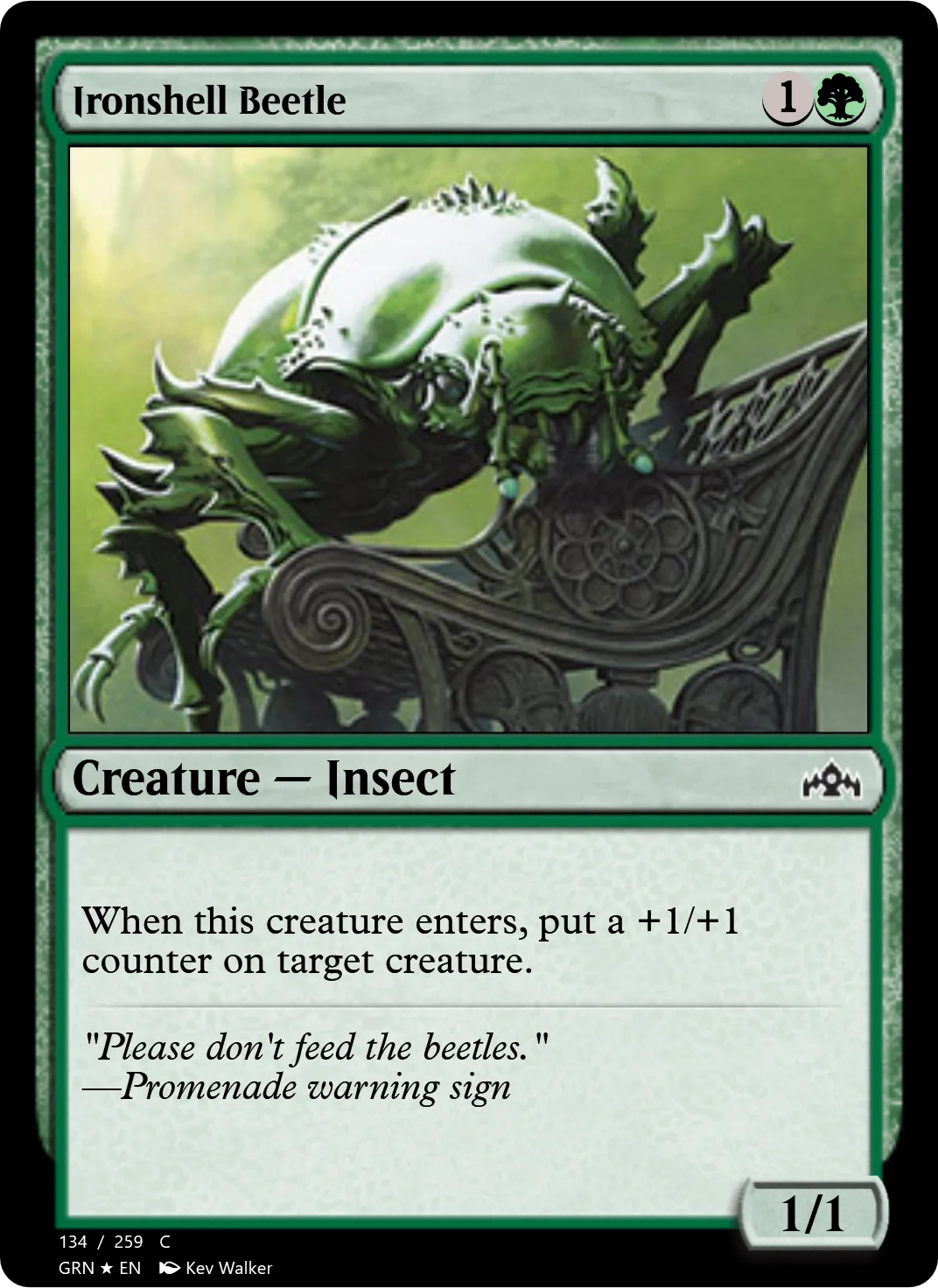 Ironshell Beetle