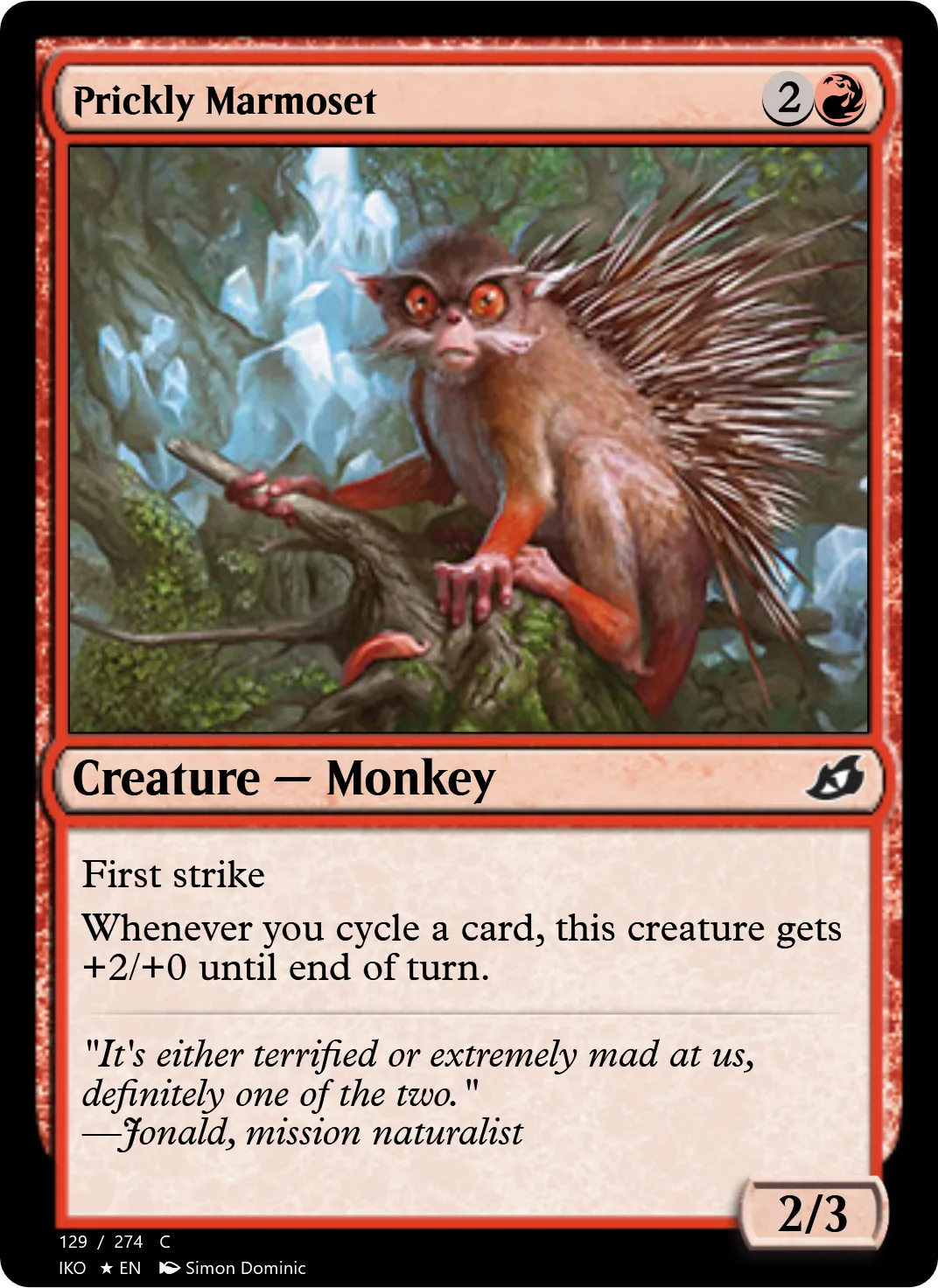 Prickly Marmoset