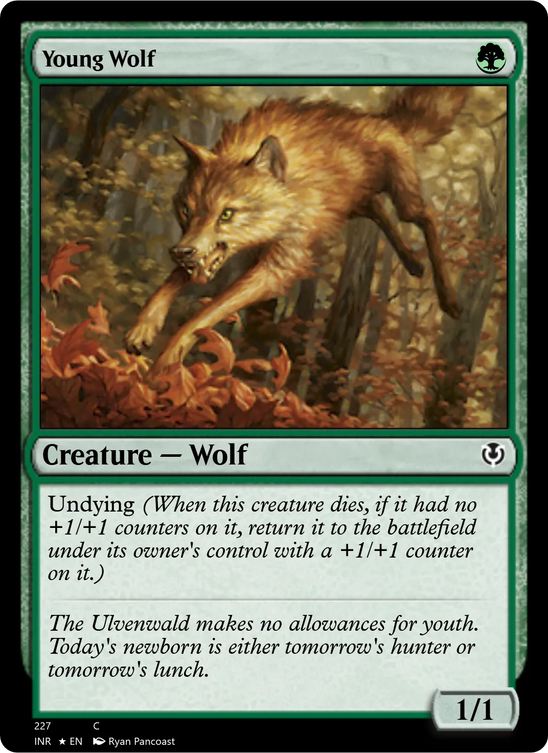 Young Wolf