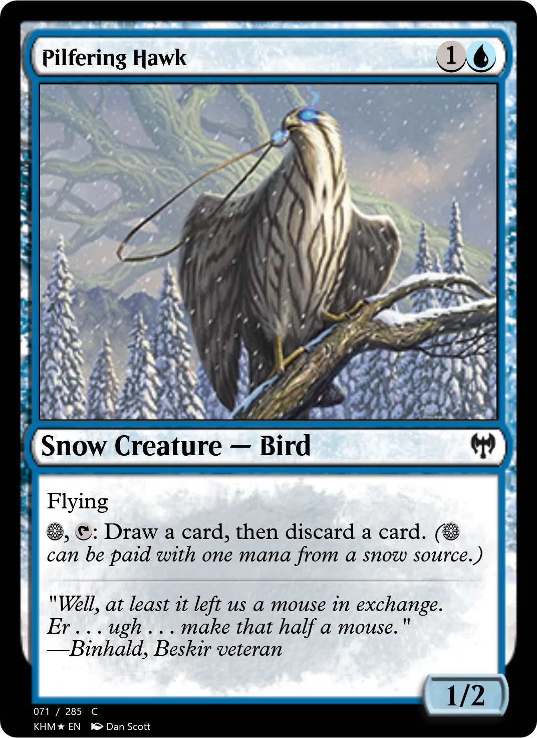 Pilfering Hawk