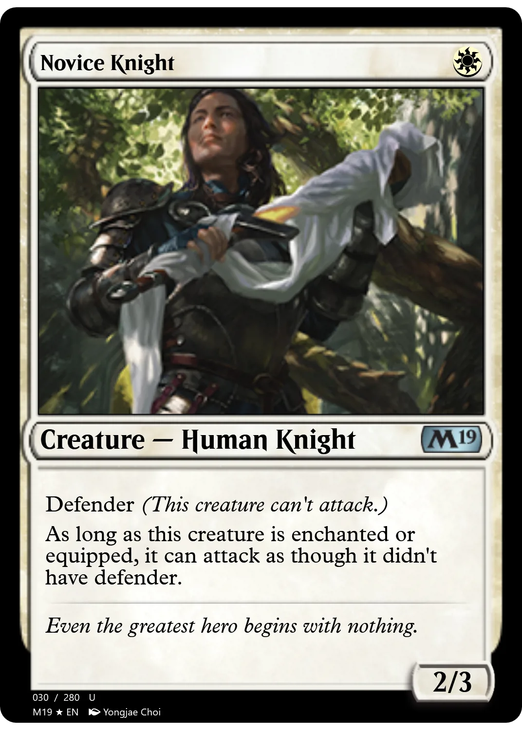 Novice Knight