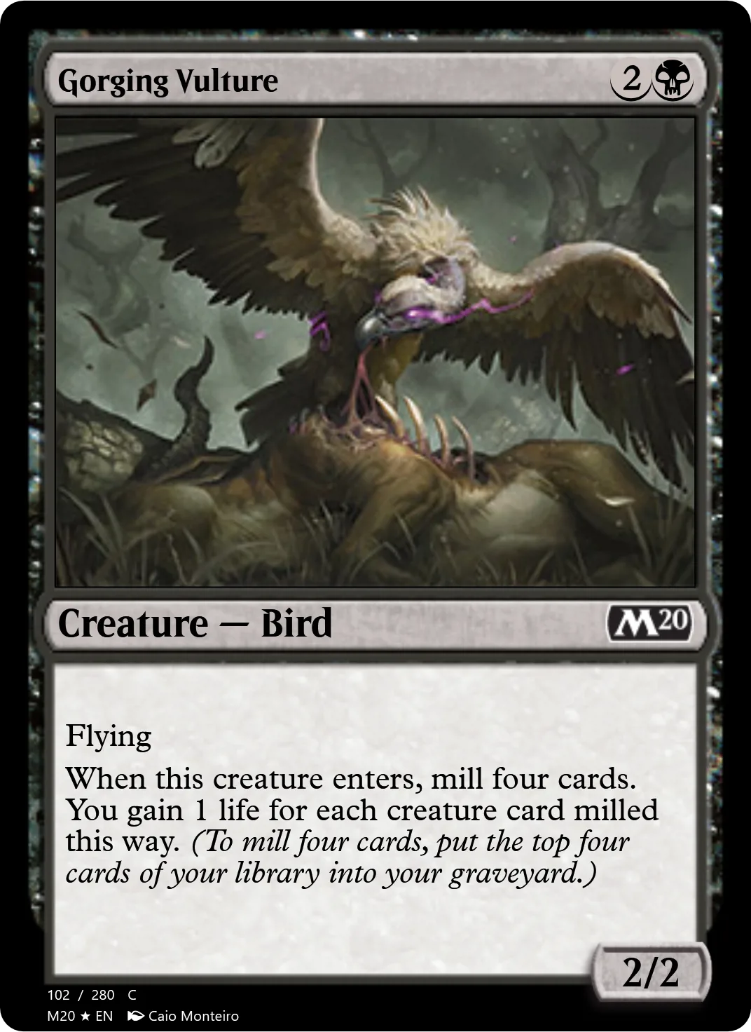 Gorging Vulture