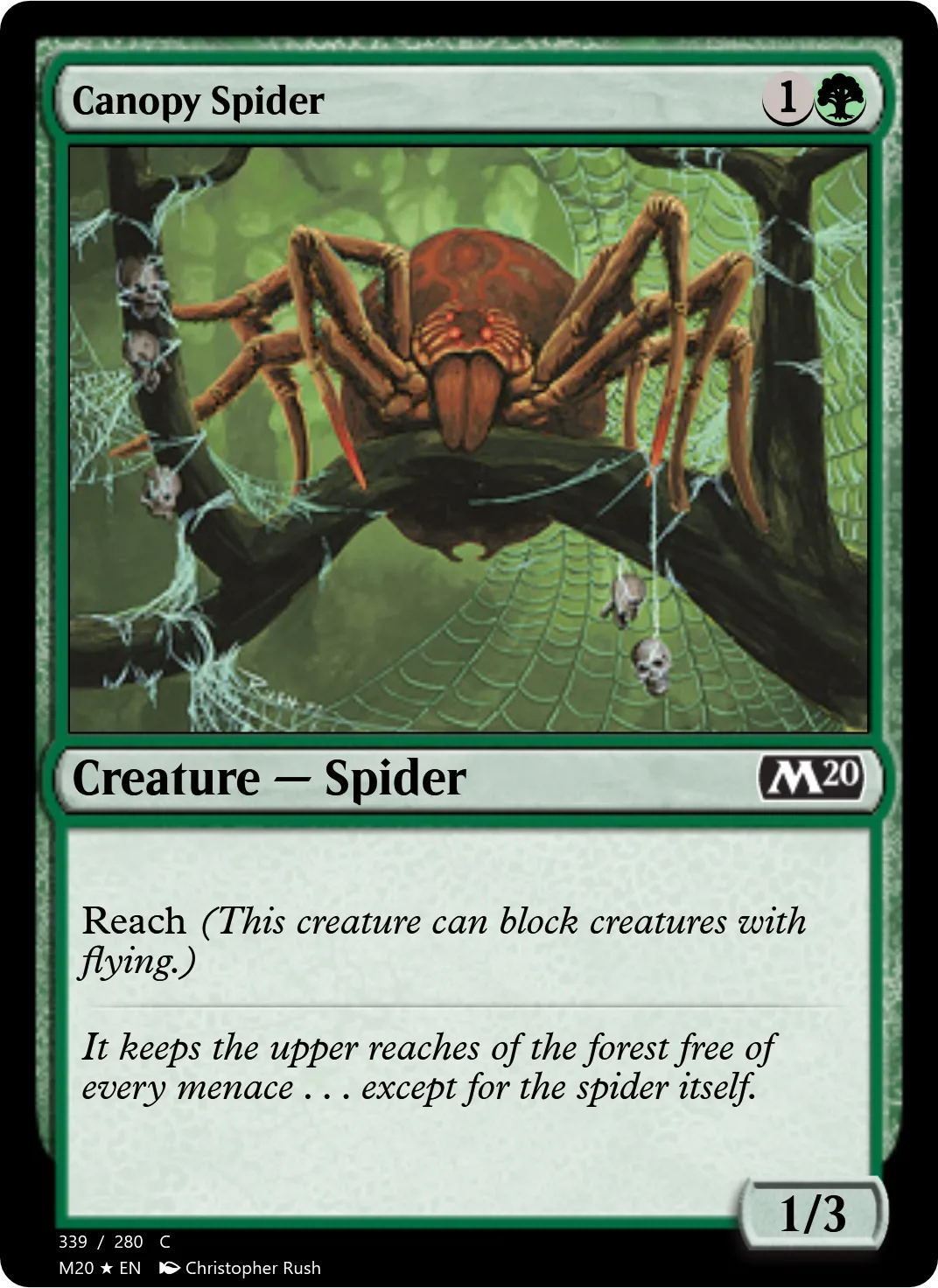 Canopy Spider