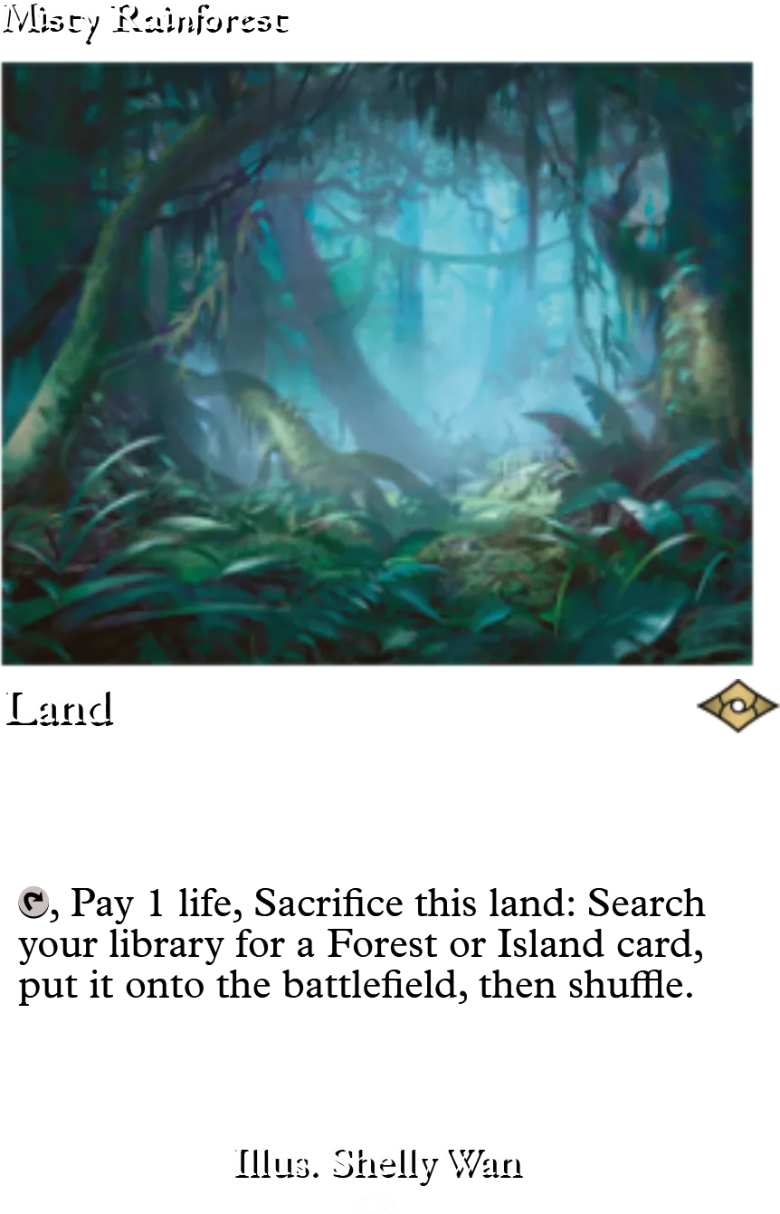 Misty Rainforest