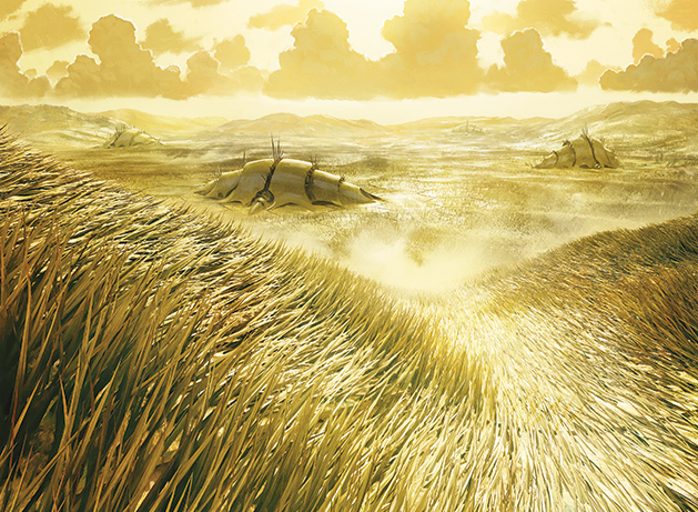 Razorgrass Field