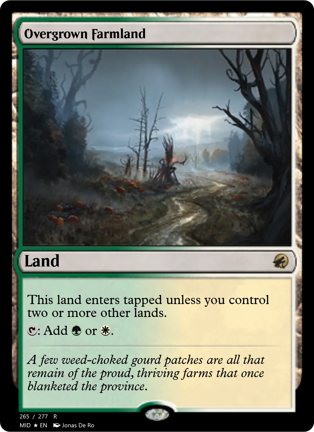 Overgrown Farmland