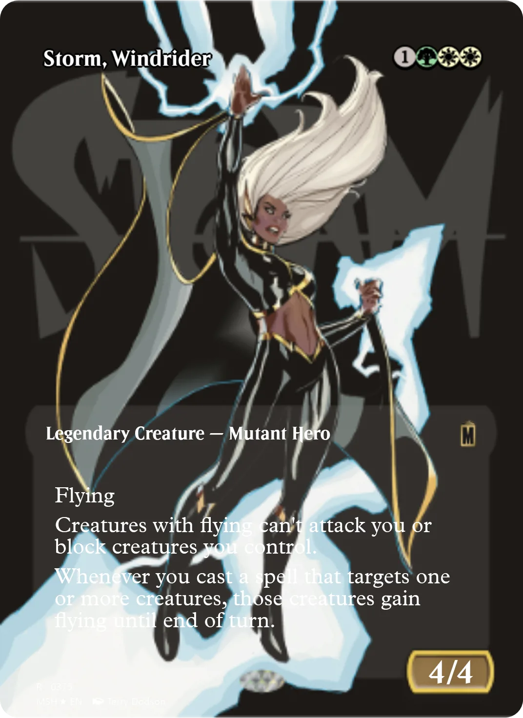 Storm, Windrider