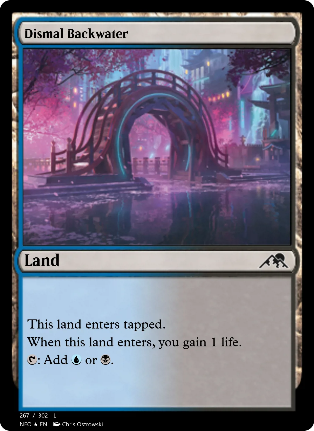 Dismal Backwater