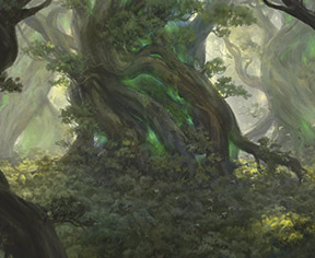 Turntimber, Serpentine Wood