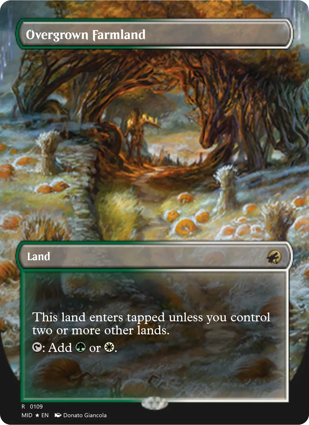 Overgrown Farmland