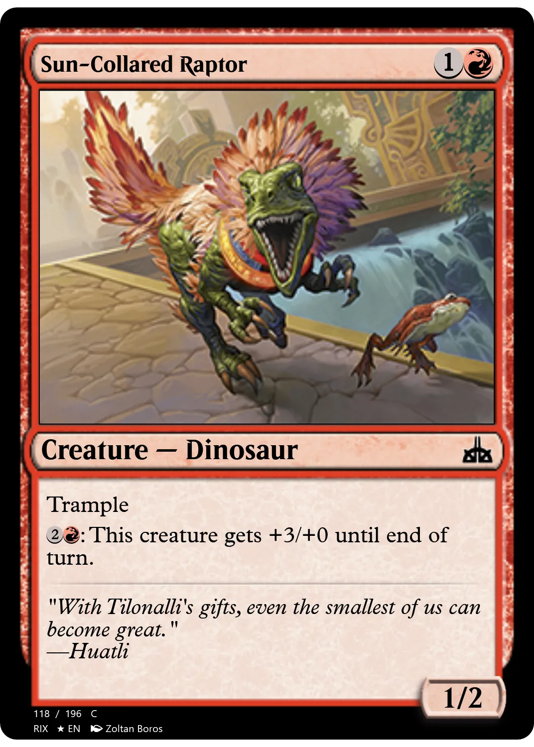 Sun-Collared Raptor