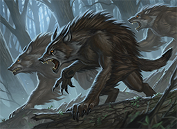 One of the Pack
