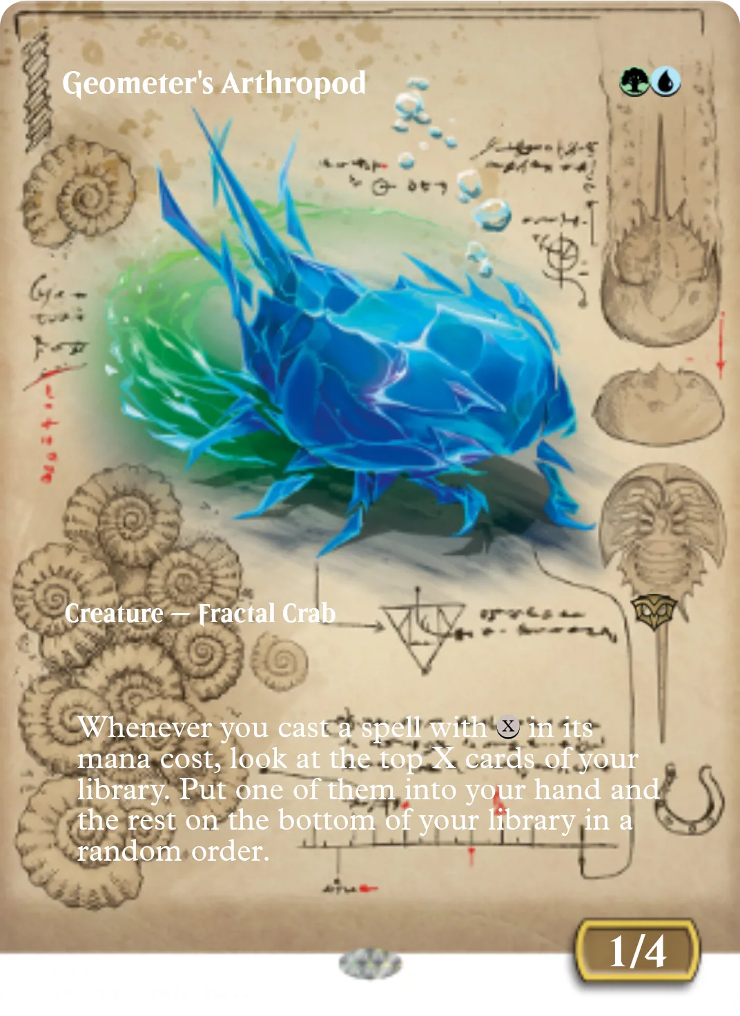 Geometer's Arthropod