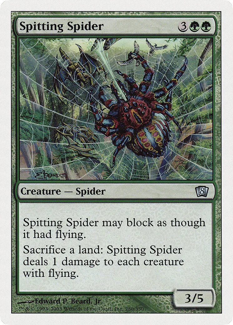Spitting Spider