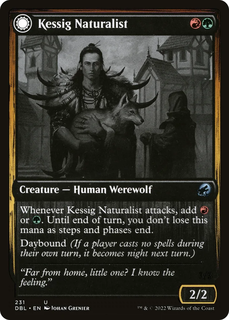 Kessig Naturalist