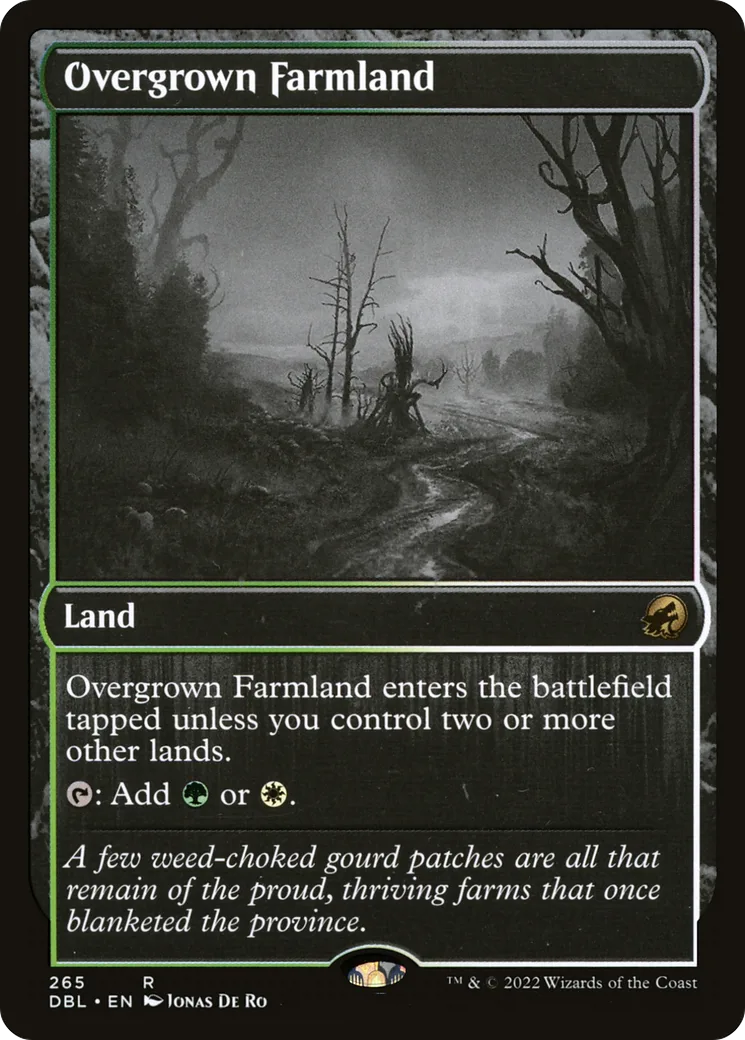 Overgrown Farmland