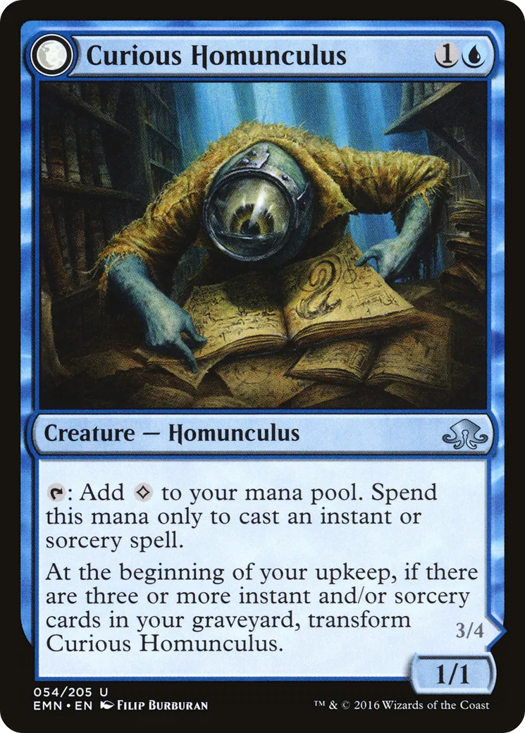 Curious Homunculus