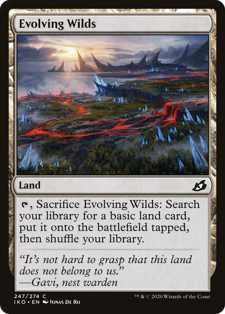 Evolving Wilds