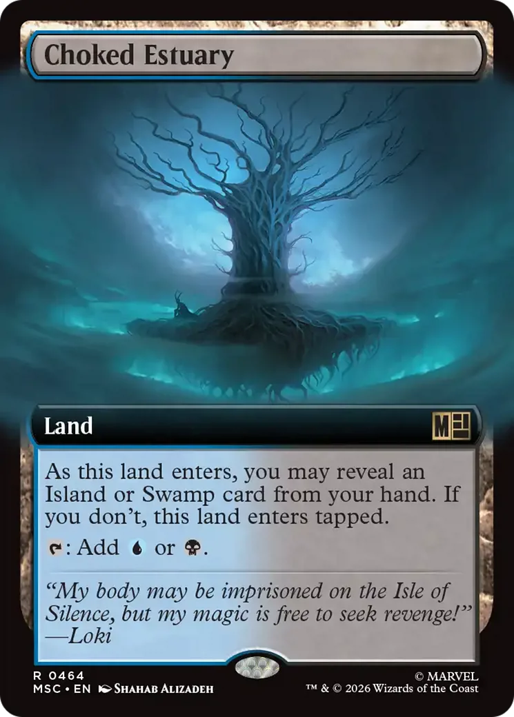 Choked Estuary